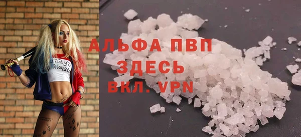 ГАЛЛЮЦИНОГЕННЫЕ ГРИБЫ Карпинск