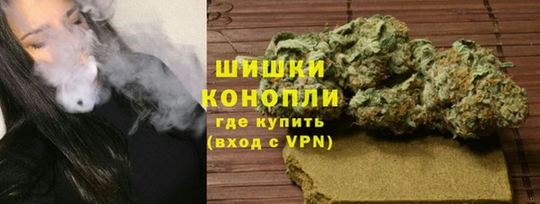 ГАЛЛЮЦИНОГЕННЫЕ ГРИБЫ Карпинск