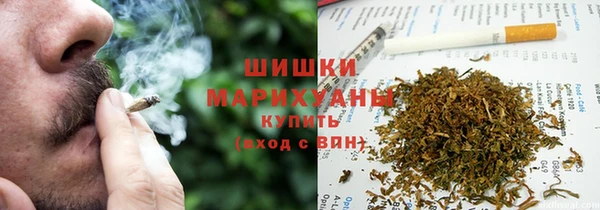 ГАЛЛЮЦИНОГЕННЫЕ ГРИБЫ Карпинск