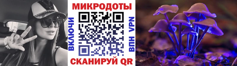 магазин    Фурманов  Галлюциногенные грибы мухоморы 