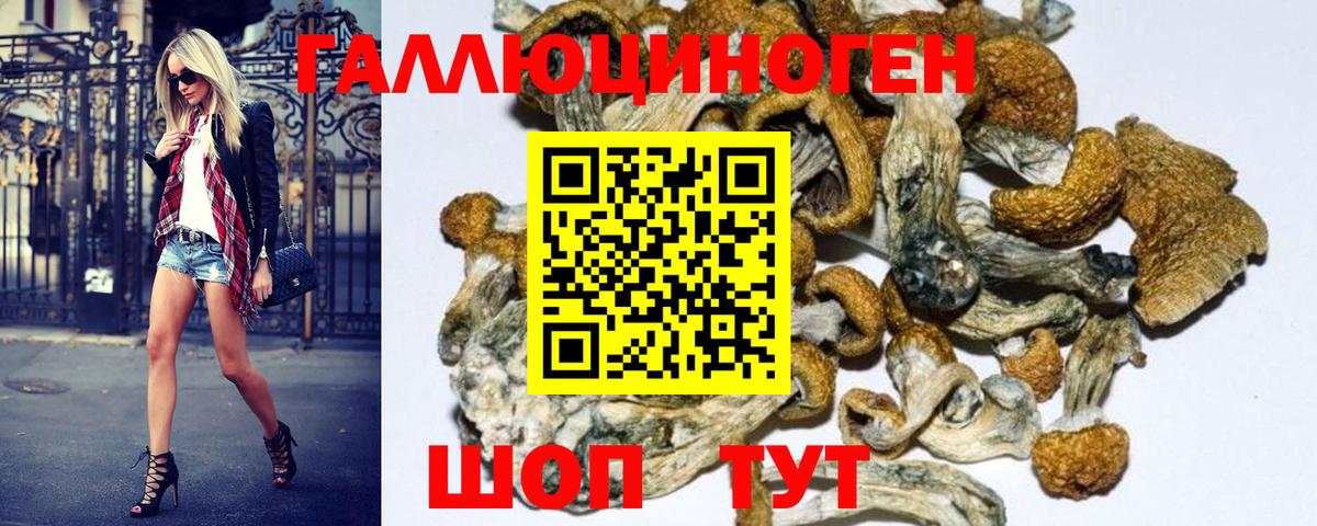 наркошоп  Фурманов  Галлюциногенные грибы ЛСД  Галлюциногенные грибы Psilocybe 